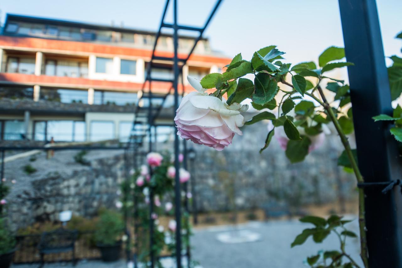 Paraiso Casa De Montana San Martín de los Andes 외부 사진